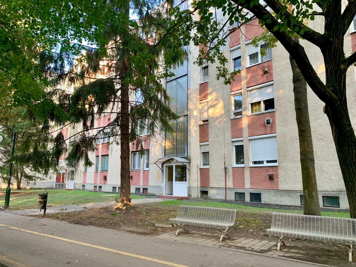 Anita Apartman Hajduszoboszlo Ngoại thất bức ảnh